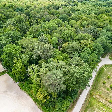 Hameau Des 40 Arpents Otel Gergy Dış mekan fotoğraf